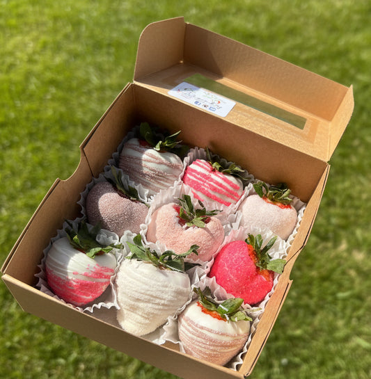 Clever Candy Sample Box - Plain (6)